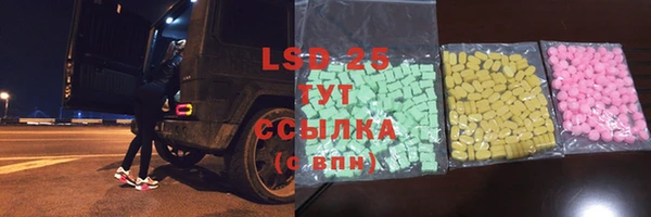 хмурый Абаза